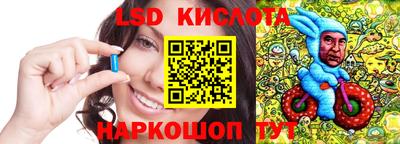 прущие крисы Будённовск