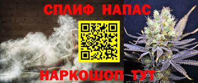прущие крисы Будённовск