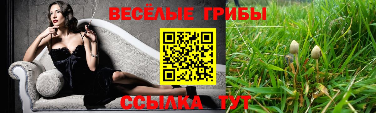 Прокопьевск  Галлюциногенные грибы мицелий  Галлюциногенные грибы ЛСД  Вход с VPN 